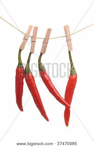 Piments rouges séchage