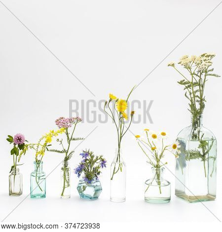 Wild Field Herbs In Bottles Of Different Shapes On A White-gray Background As A Decoration. Card