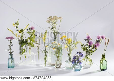 Wild Field Herbs In Bottles Of Different Shapes On A White-gray Background As A Decoration. Card