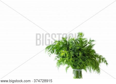 Isolated Green Dill On A White Background.