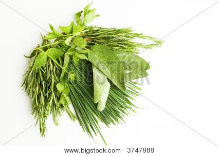 Herbes