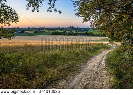 Walking Track In Bergherbos Nature Reserve, Montferland, Gelderland, The Netherlands