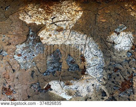 Photographs Of Various Textures For Backgrounds