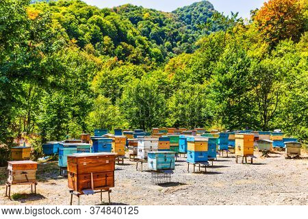 bees hives Tavush mountains in Armenia eastern Europe