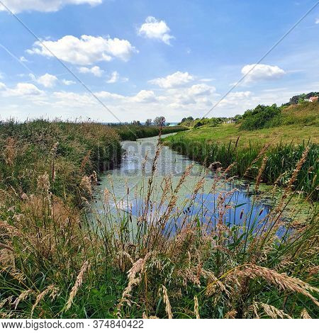 Boggy Areas In The Beka Reserve, Poland