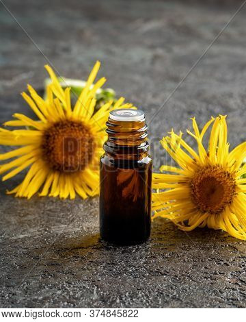 A Dark Bottle Of Elecampane Essential Oil With Fresh Inula Helenium Flowers