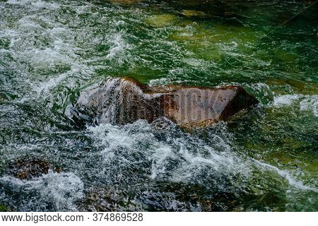 Stone In Dark Green Water Of Mountain River Close-up. Atmospheric Nature Background With Boulder In 