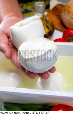 Cheese Maker Holding In Hand Fresh Soft Italian Cheese From Campania, White Balls Of Buffalo Mozzare