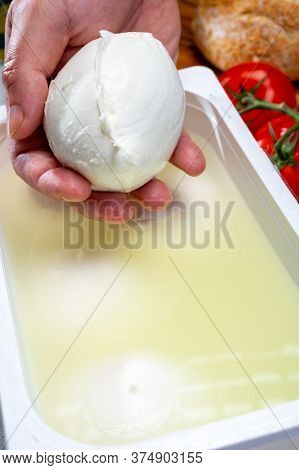 Cheese Maker Holding In Hand Fresh Soft Italian Cheese From Campania, White Balls Of Buffalo Mozzare
