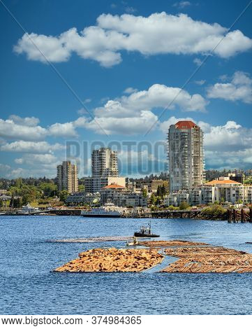 Logs In Harbor Of Nanaimo, British Columbia Being Readied To Ship Down River