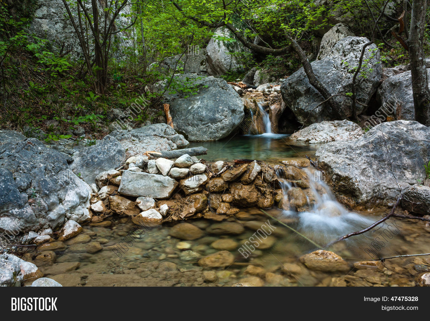 Image Preview