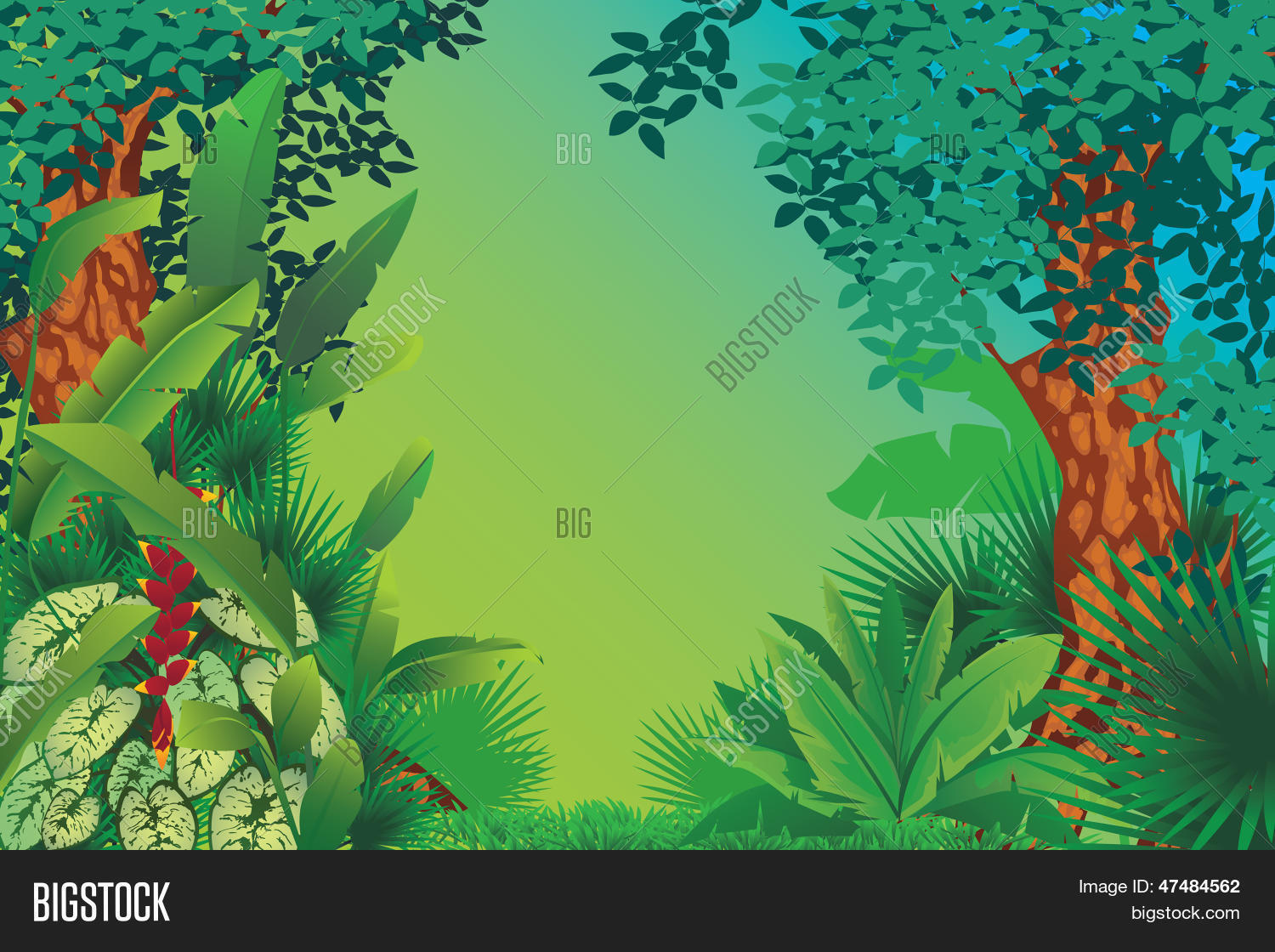 Image Preview