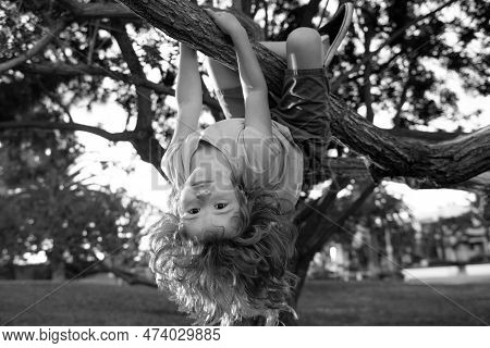 Little Kid On A Tree Branch. Climbing And Hanging Child. Portrait Of A Beautiful Kid In Park Among T