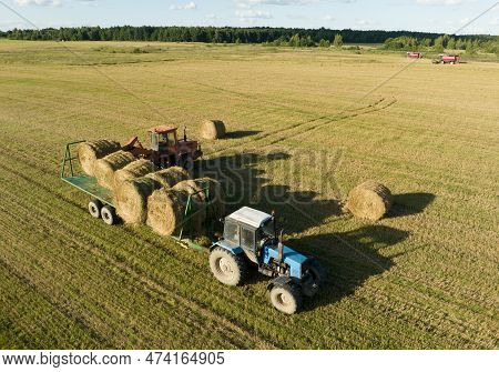 Hay Making In Autumn Season. Farmer Loading Round Bales Of Straw From Hay Trailer With A Front End L