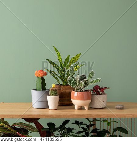 Creative Composition Of Botanic Home Interior Design With Lots Of Plants In Classic Designed Pots An