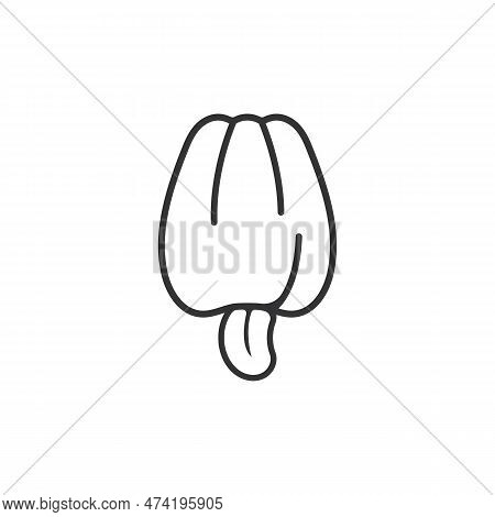 Cashew Fruit Vector Illustration Logo Template