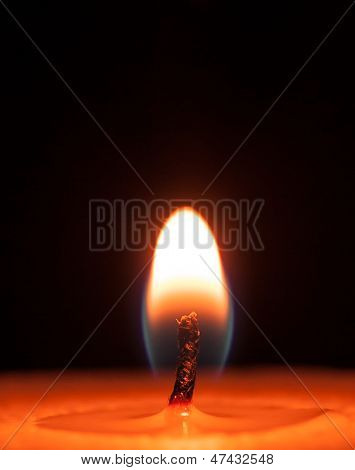 Candle