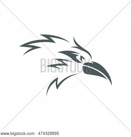 Roadrunner Logo Icon Design