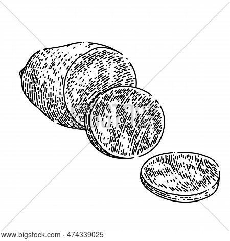 Sweet Potato Cut Hand Drawn. Orange Food, Yam Raw, Vegetable Healthy, Root Slice, Wood Baked Sweet P