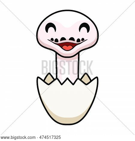 Vector Illustration Of Cute Black Eyed Leucistic Reticulatus Python Cartoon Inside An Egg