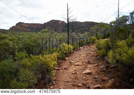 Arkaroo Trek In Flinders Ranges - Australia