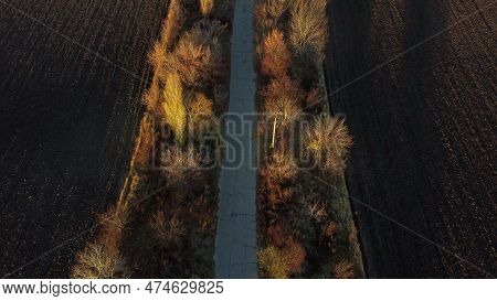 Beautiful Landscape View Old Asphalt Road With Trees And Shadows Between Large Plowed Agricultural F