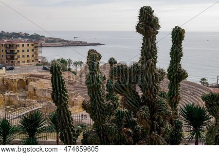 View Of The Ancient Amphitheatre In Downtown Taragona, Catalonia, Spain.