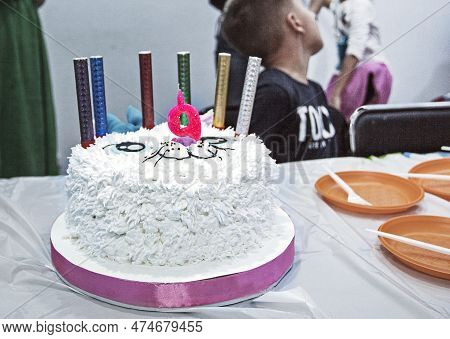 Beautiful Cake In The Form Of A Cat And On A Children's Birthday With The Number 9. Children's Party