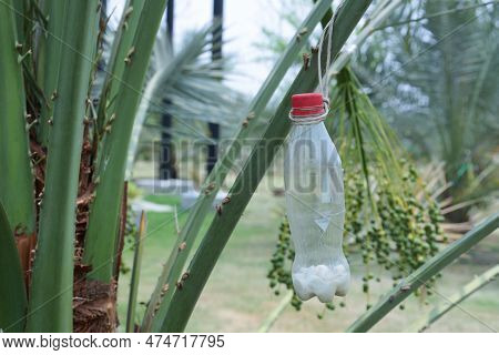 Plastic Bottles For Insect Repellent. Transparent Plastic Bottle Filled With White Repellent Chemica