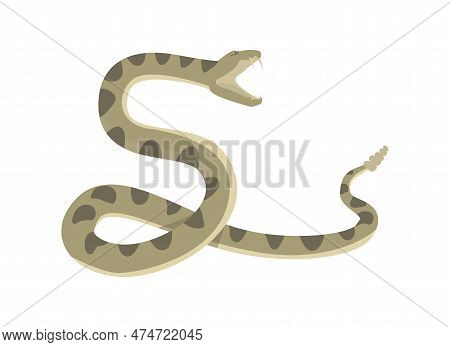 Diamondback Rattlesnake Preparing To Attack Flat Style