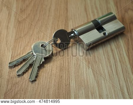 Door Lock Cylinder Core With Keys. Spare Parts For The Door. Door Hardware And Lock