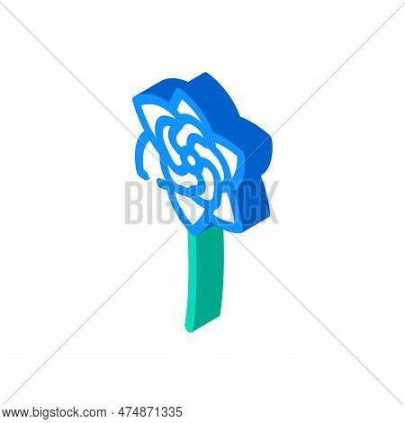 Gardenia Blossom Spring Isometric Icon Vector. Gardenia Blossom Spring Sign. Isolated Symbol Illustr