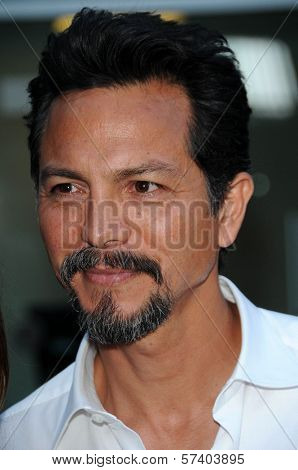 Benjamin Bratt at the 