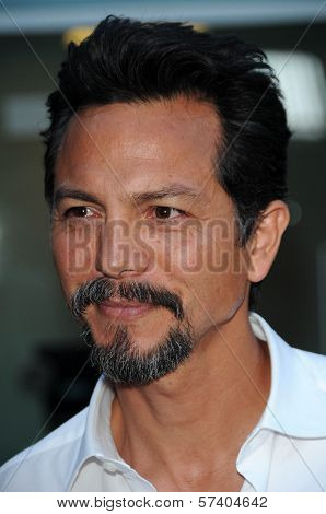 Benjamin Bratt at the 