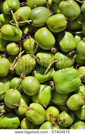 Berries Of Far-east