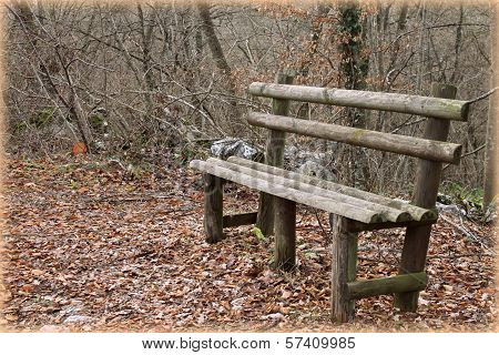 Bench In The Woods