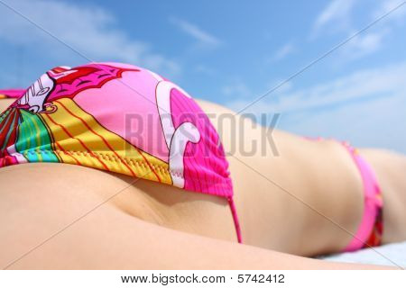 Bikini rose