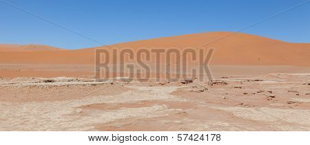 View Over The Deadvlei With The Famous Red Dunes Of Namib Desert