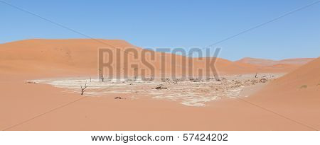 View Over The Deadvlei With The Famous Red Dunes Of Namib Desert