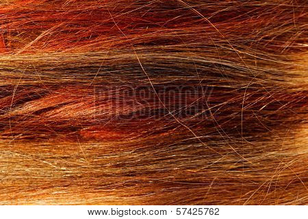 Hair Texture