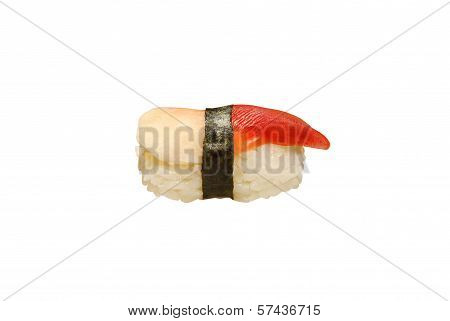nigiri mollusk hokie