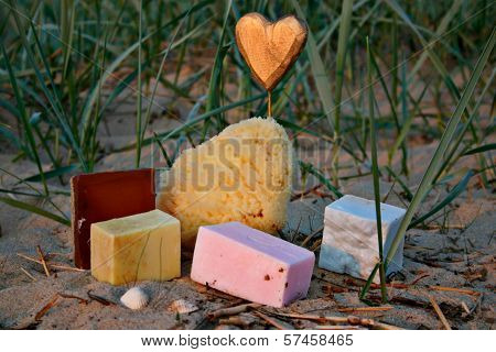 Nature products