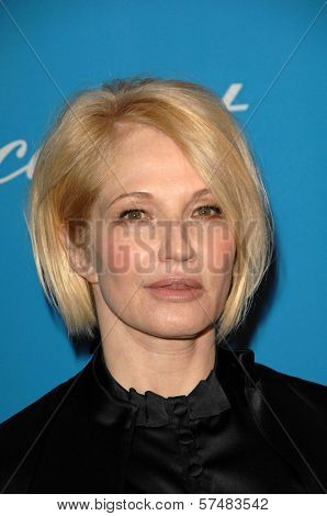 Ellen Barkin at the 2009 UNICEF Ball Honoring Jerry Weintraub, Beverly Wilshire Hotel, Beverly Hills, CA. 12-10-09