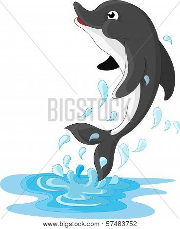 Jumping Dolphin Cartoon