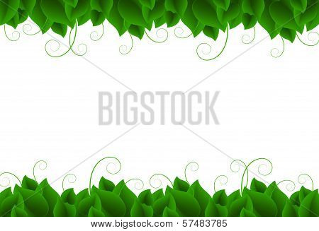 Frames with Leaves concept