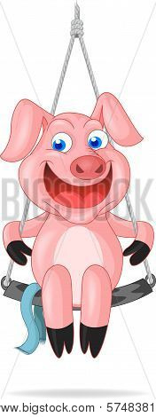 Cute Piglet Playing Swing