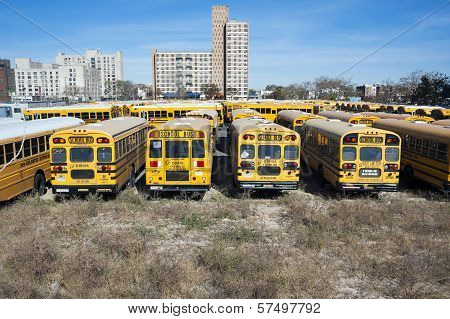 New York City school buses In the United States