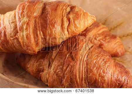 fresh bakery