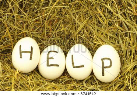 Help