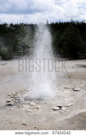 Vixen Geyser In Yellowstone National Park